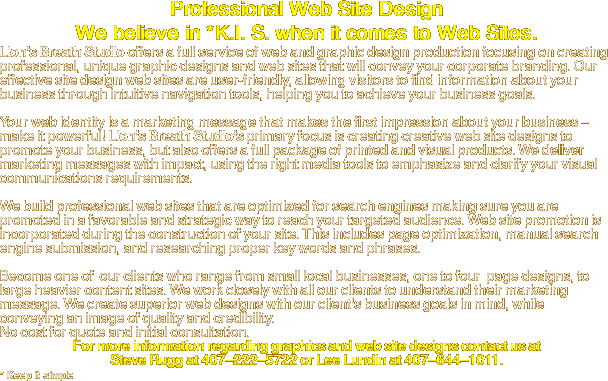 Professional Web Site Design